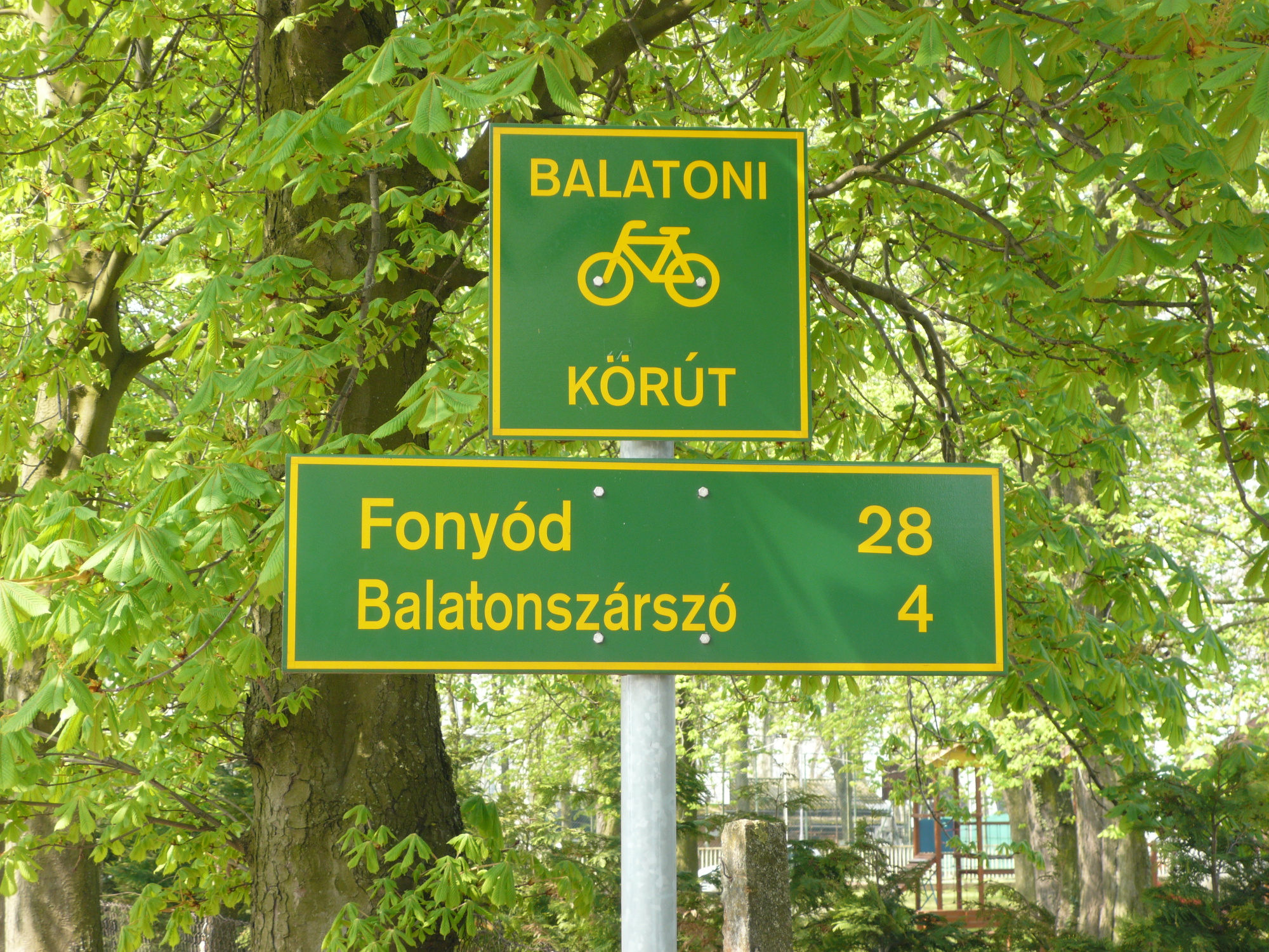 Radfahren am Aranypart, Siófok
